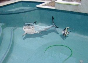 Piscinas com imagens 3D