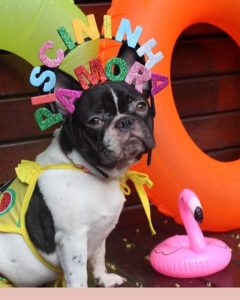 53020260 1957338657709459 5853389487794552832 n